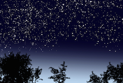 夜空を見上げて
